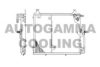 AUTOGAMMA 101695 Condenser, air conditioning